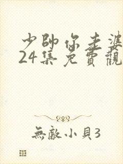 少帅你老婆又跑24集免费观看