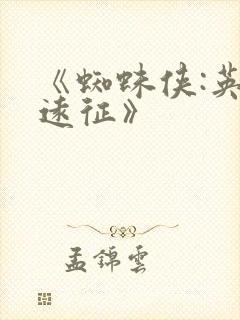 《蜘蛛侠:英雄远征》封面