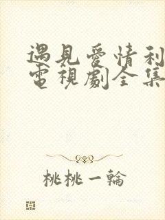 遇见爱情利先生电视剧全集免费