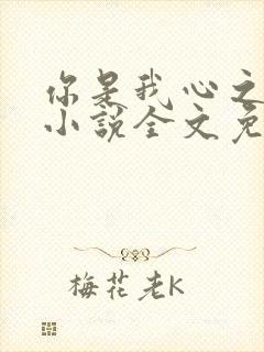 你是我心之所向小说全文免费阅读封面
