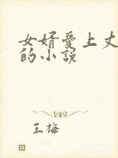 女婿爱上丈母娘的小说封面