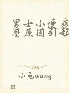 男士小便疼是什么原因引起的