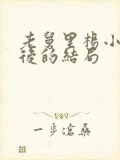 老舅里杨小姐最后的结局