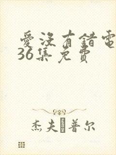 爱没有错电视剧36集免费