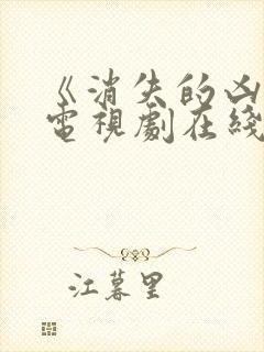 《消失的凶手》电视剧在线观看