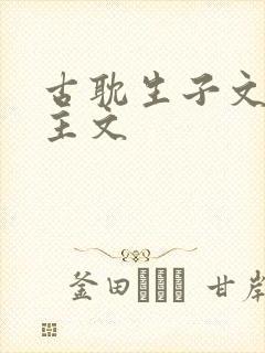 古耽生子文双男主文