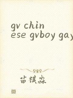 gv chinese gvboy gay tube封面