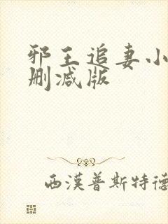 邪王追妻小说无删减版封面