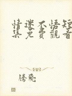 情迷不悟短剧全集免费观看完整版封面