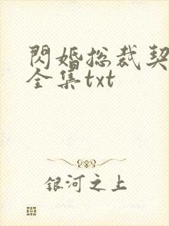 闪婚总裁契约妻全集txt