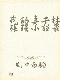 我的妻子林慧茹张强小说最新章节阅读