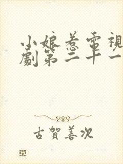 小娘惹电视连续剧第二十一集