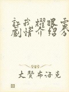 许我耀眼电视剧剧情介绍分集