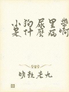 小狗尿里带点血是什么病啊