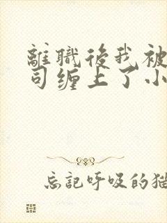 离职后我被前上司缠上了小说在线阅读