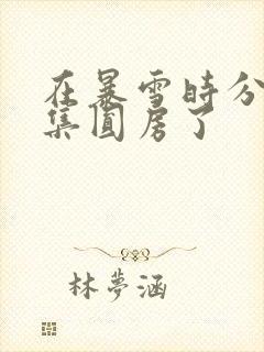 在暴雪时分第几集圆房了