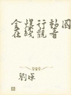 金爆行动国语版在线观看