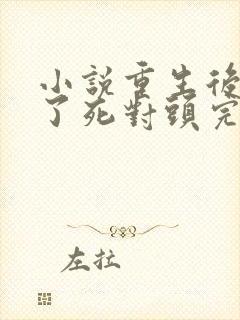 小说重生后我渣了死对头完整版