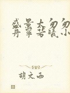 盛景太匆匆沈砚舟宁若曦小说