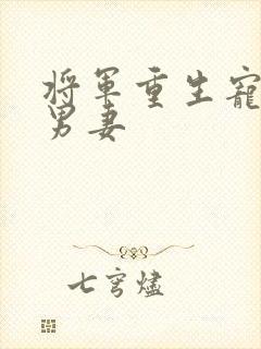 将军重生宠可怜男妻