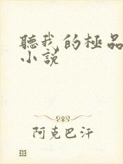 听我的极品老婆小说