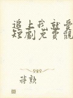 追上我就爱上你短剧免费观看