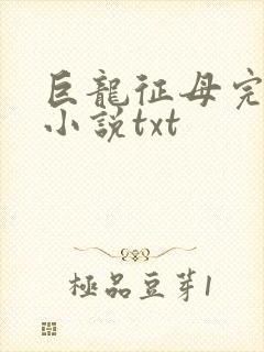 巨龙征母完结版小说txt