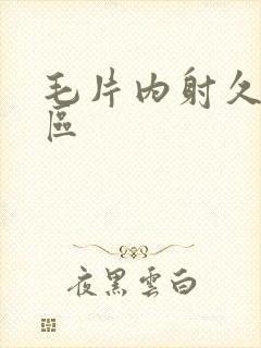 毛片内射久久三区封面