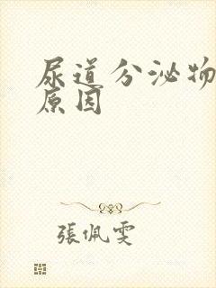 尿道分泌物什么原因