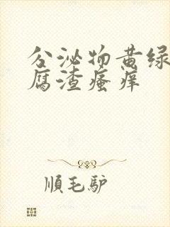 分泌物黄绿色豆腐渣瘙痒