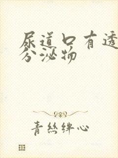 尿道口有透明色分泌物