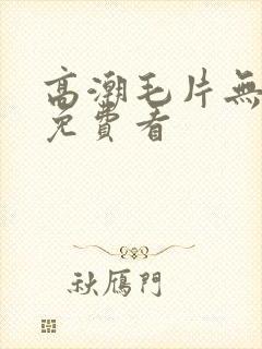高潮毛片无遮掩免费看