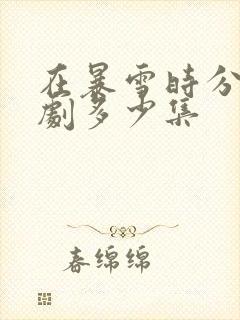 在暴雪时分电视剧多少集