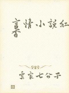言情小说红袖添香封面