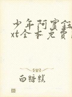 少年阿宾钰慧txt全本免费阅读