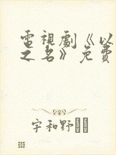 电视剧《以家人之名》免费全集在线