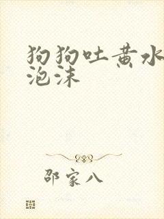 狗狗吐黄水带白泡沫