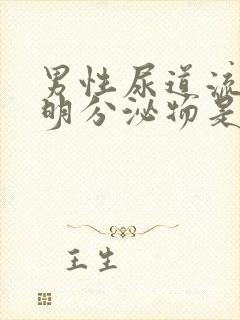 男性尿道流出透明分泌物是什么