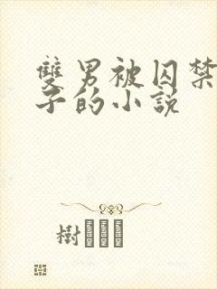 双男被囚禁还生子的小说