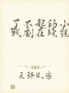 了不起的小姐谍战剧在线观看免费