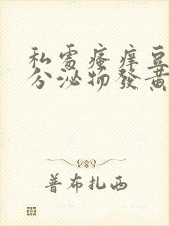 私处瘙痒豆腐渣分泌物发黄