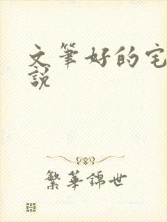 文笔好的宅斗小说