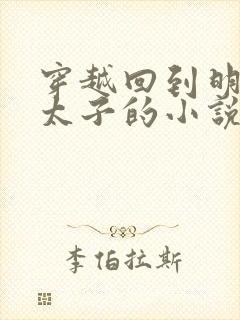 穿越回到明朝当太子的小说