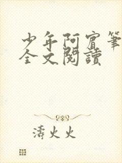 少年阿宾笔趣阁全文阅读封面