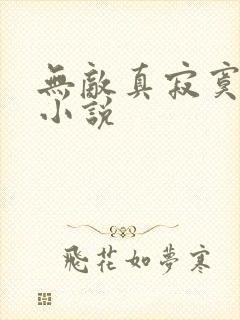 无敌真寂寞有声小说