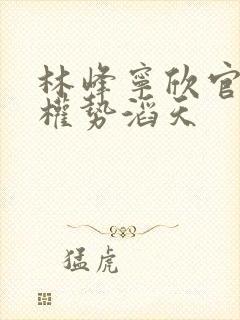 林峰宁欣官道之权势滔天