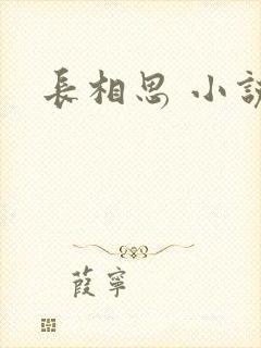 长相思 小说