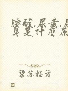 腰酸,尿黄,尿臭是什么原因