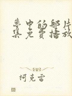 梦中的那片海全集免费播放