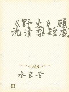 《野火》顾衍,沈清梨短剧大结局封面